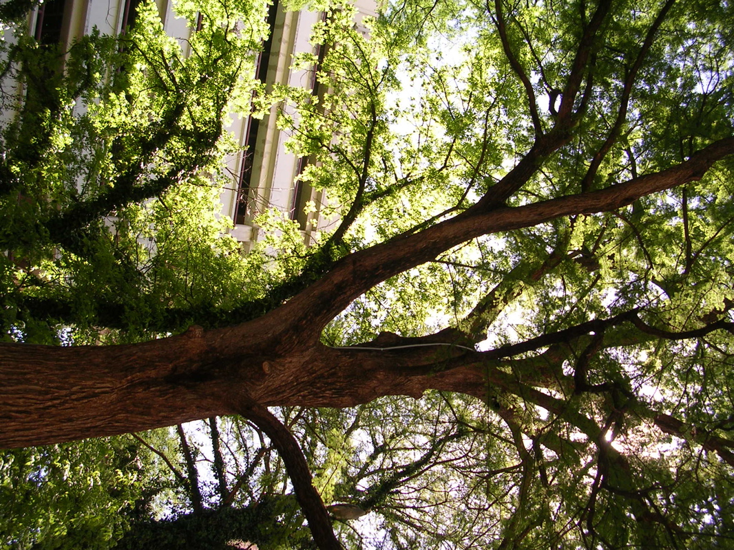 DSCN0007.JPG