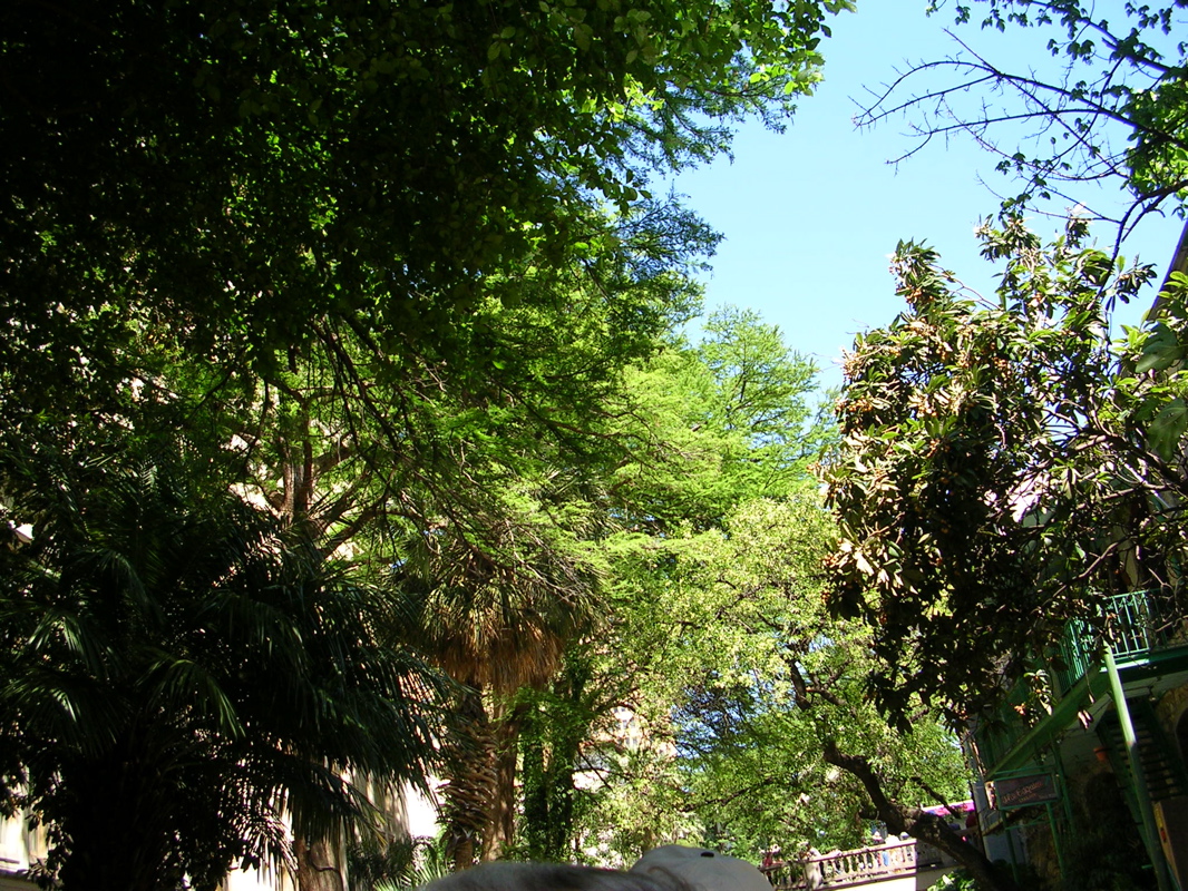 DSCN1968.JPG