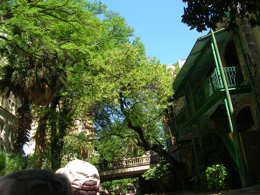 DSCN1969.JPG