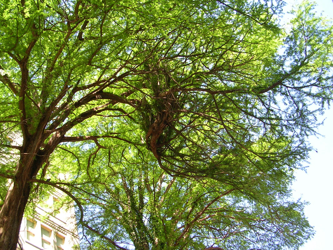 DSCN1970.JPG