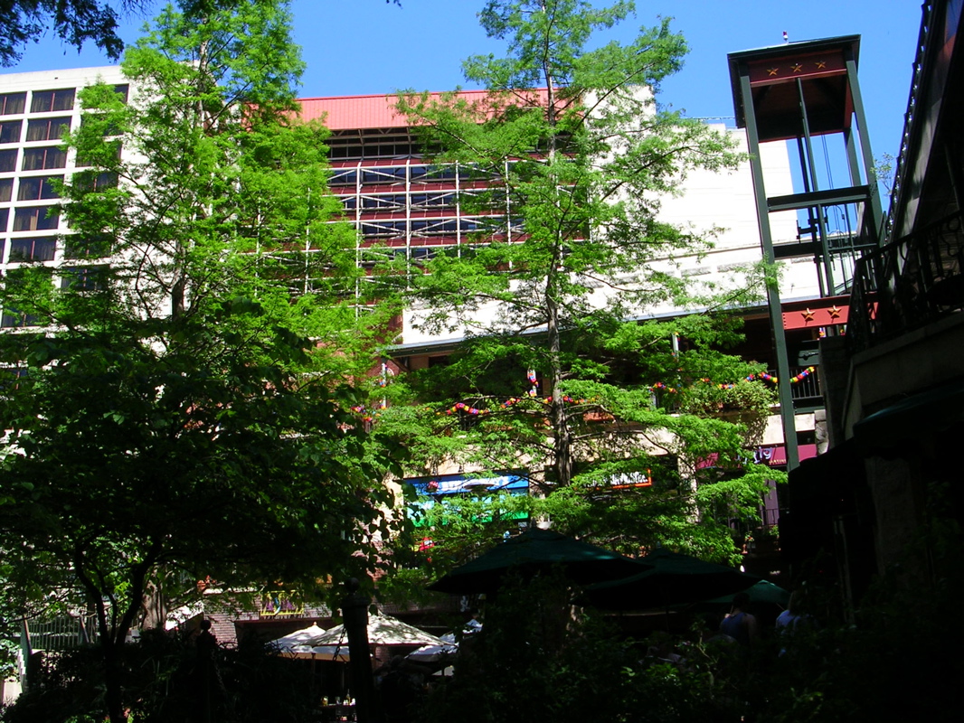 DSCN1974.JPG
