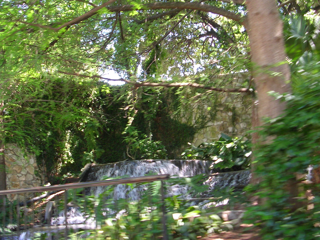 DSCN1984.JPG