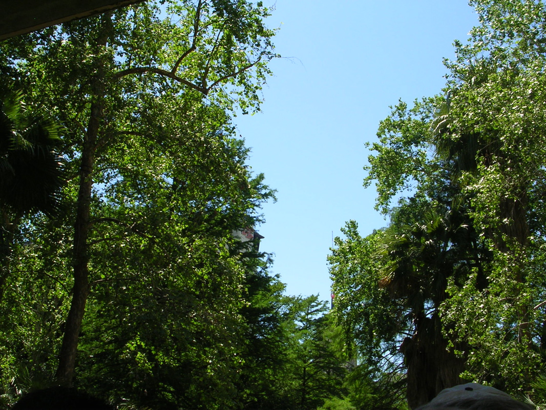 DSCN1990.JPG