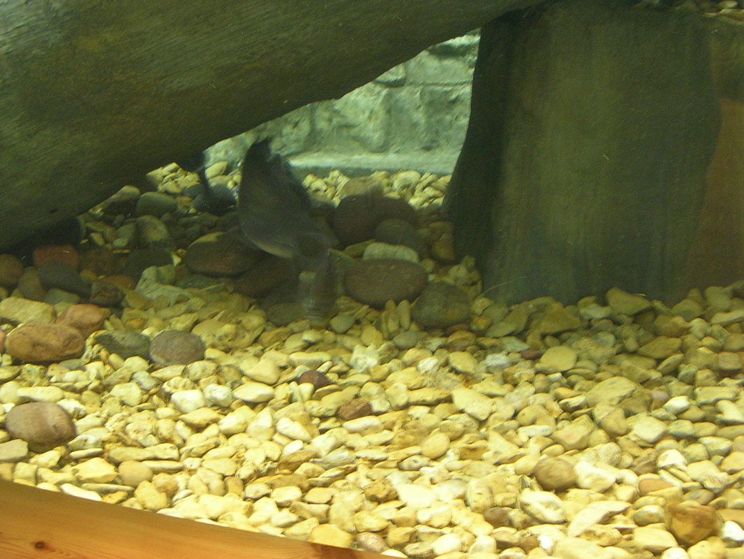 DSCN1998.JPG