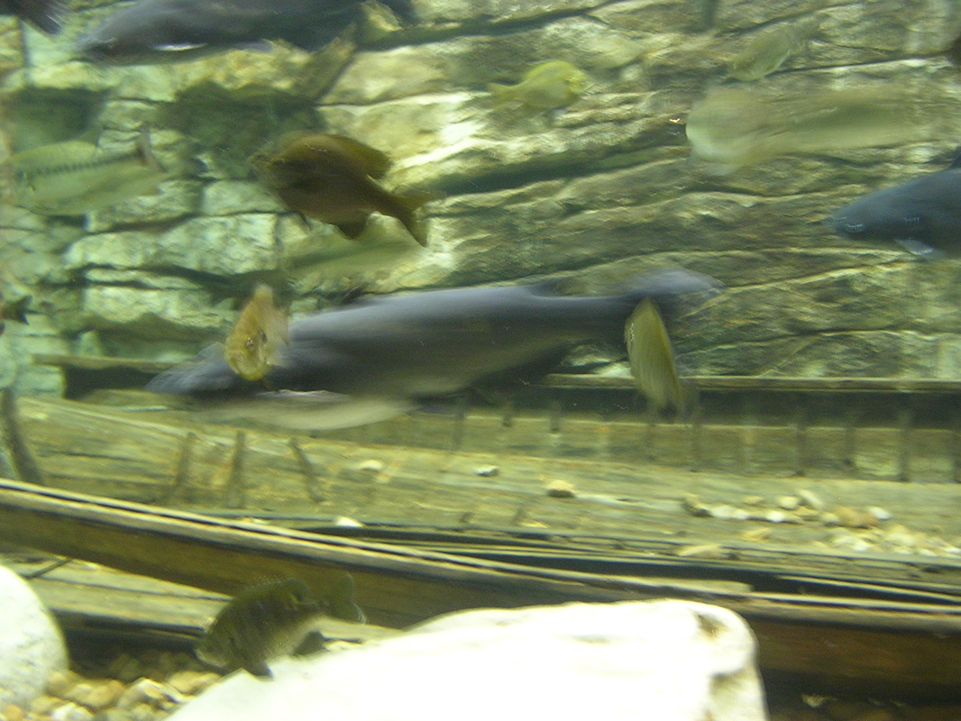 DSCN2003.JPG