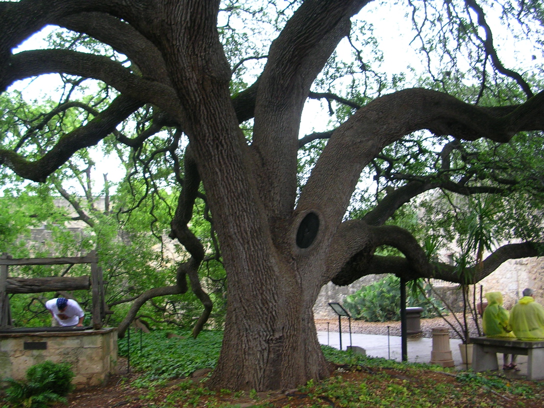 DSCN1792.JPG
