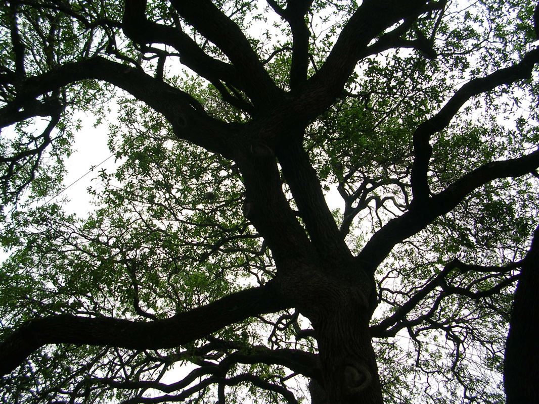 DSCN1793.JPG