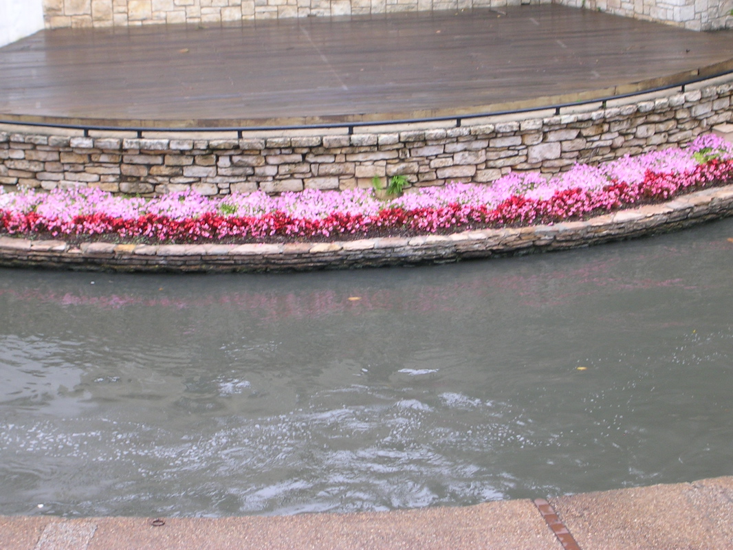 DSCN1815.JPG