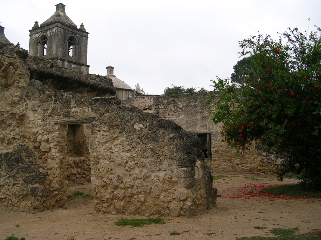 DSCN1818.JPG