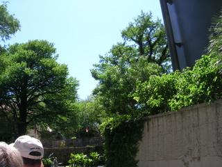 DSCN0001.JPG