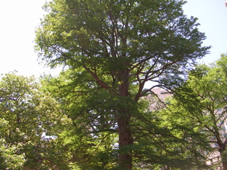 DSCN0001.JPG