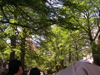 DSCN0002.JPG