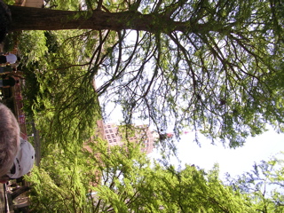 DSCN0003.JPG