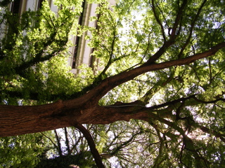 DSCN0007.JPG