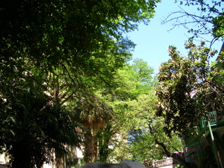DSCN1968.JPG