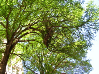 DSCN1970.JPG
