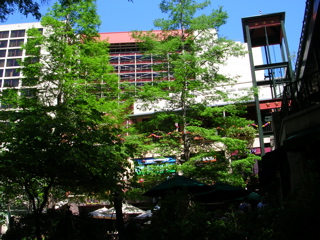 DSCN1974.JPG