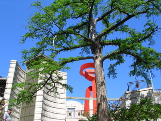 DSCN1980.JPG