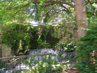 DSCN1984.JPG