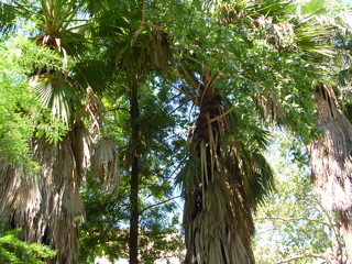 DSCN1985.JPG