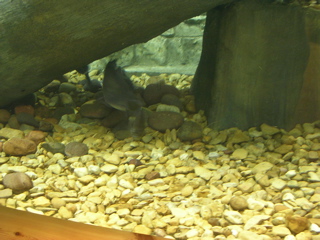 DSCN1998.JPG