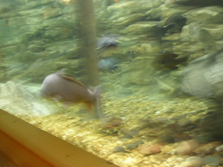 DSCN1999.JPG