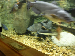 DSCN2001.JPG