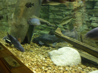 DSCN2002.JPG