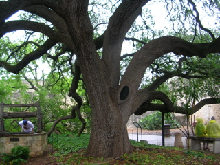 DSCN1792.JPG