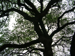 DSCN1793.JPG