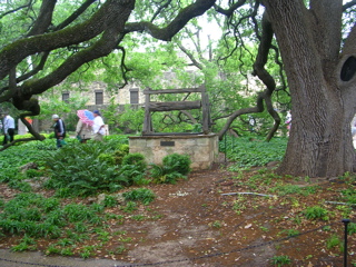 DSCN1794.JPG