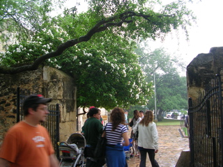 DSCN1796.JPG
