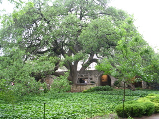 DSCN1797.JPG