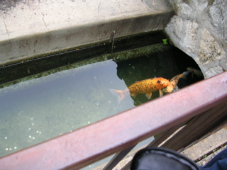 DSCN1801.JPG