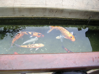 DSCN1804.JPG