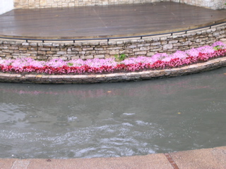 DSCN1815.JPG