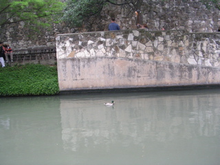 DSCN1845.JPG
