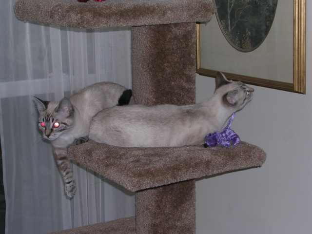 DSCN1077.JPG