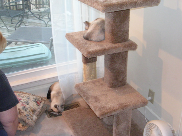 DSCN1078.JPG