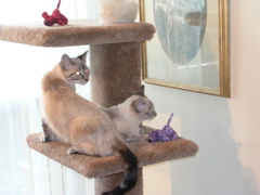 DSCN1076.JPG