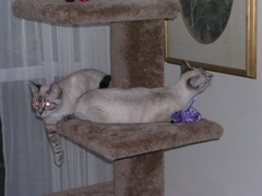 DSCN1077.JPG