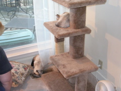 DSCN1078.JPG